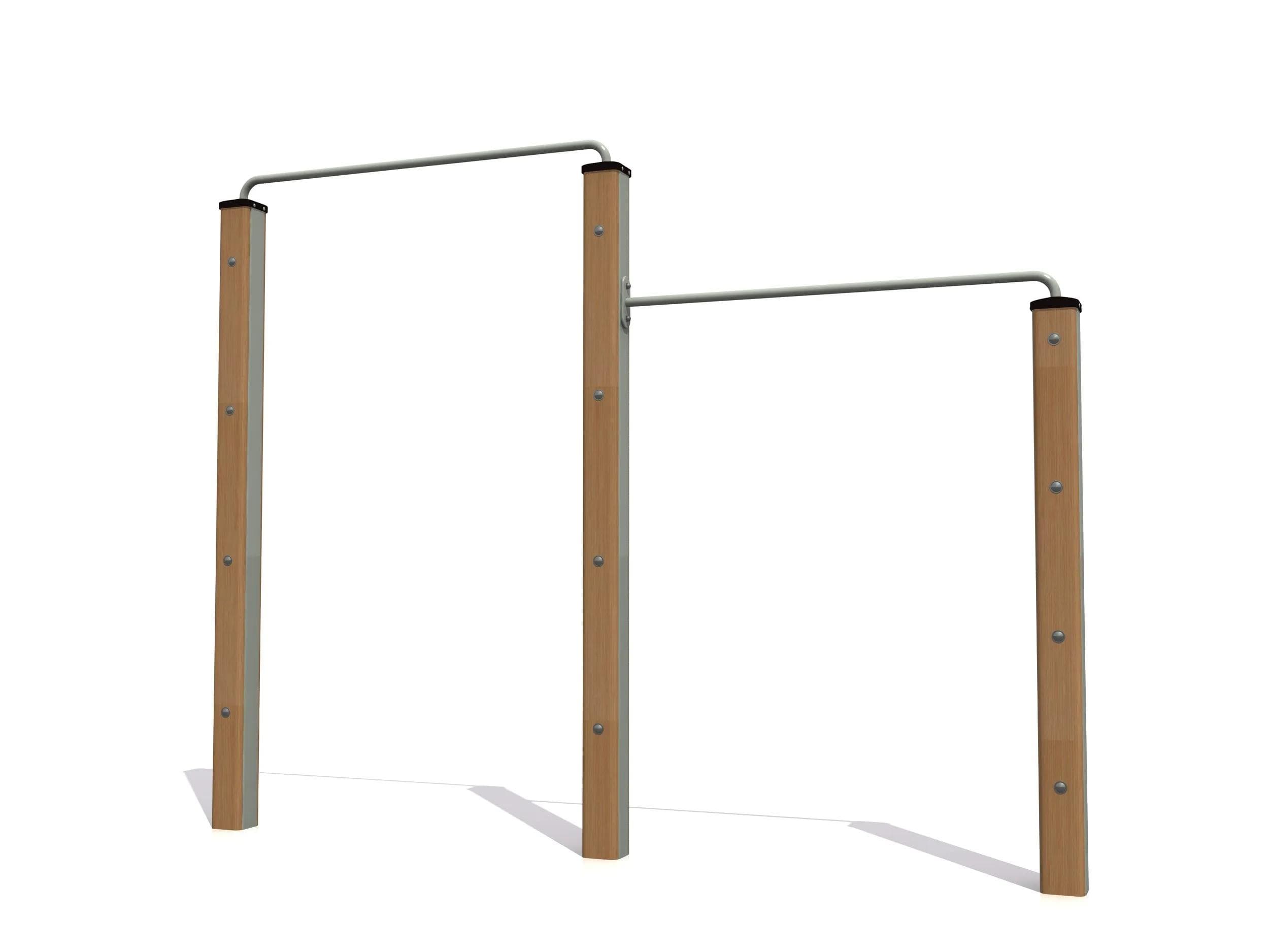 Eco Double Pull Up Bars