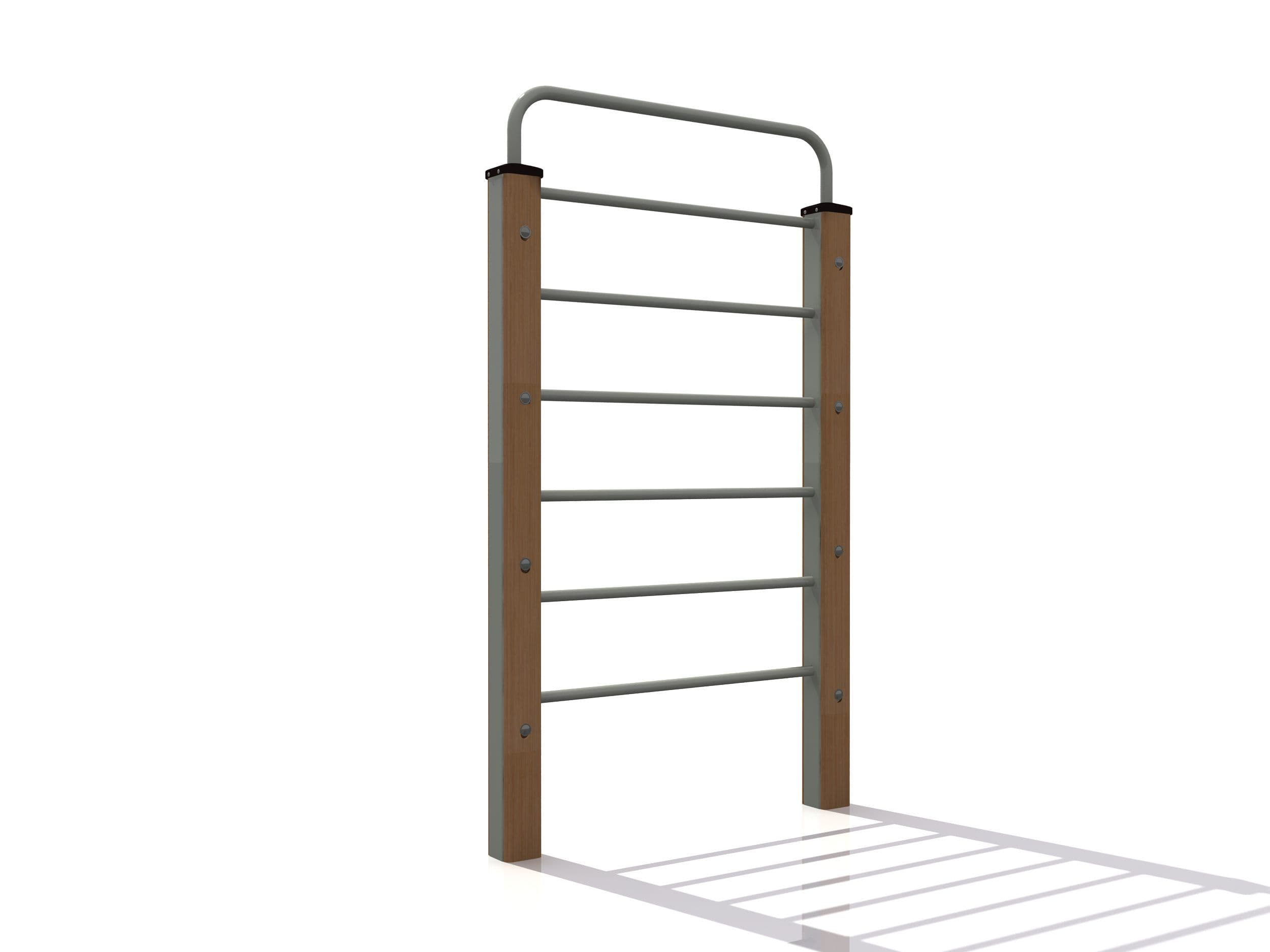 Eco Vertical Ladder