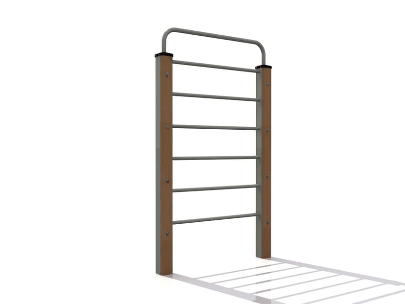 Eco Vertical Ladder