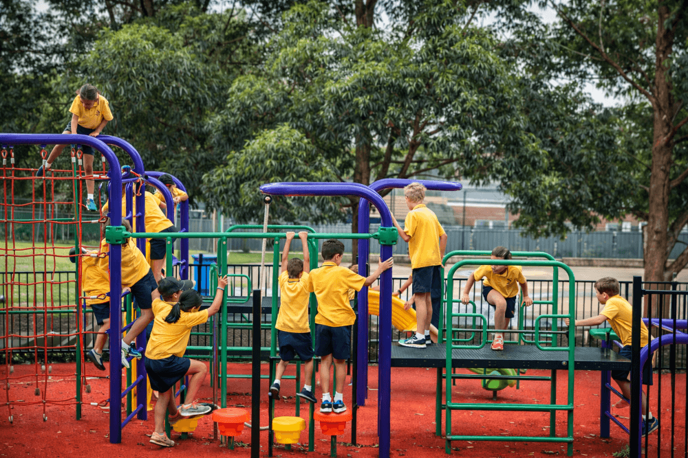 mccallum public school